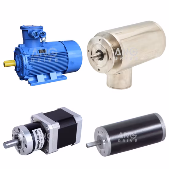 Ms Series Asynchronous Electric Motor, AC Motor, (2pole, 4pole, 6pole, 8pole)
