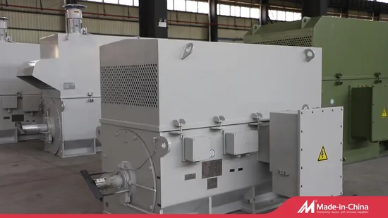 Y Ykk Series High Voltage Three Phase AC Electric Motor