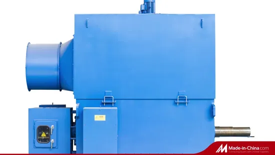 50Hz Slip Ring High Voltage Motors