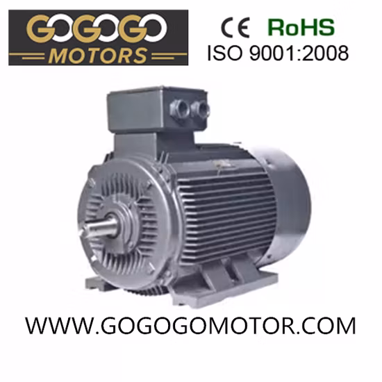370W/0.37K/0.5HP Ys Series Three Phase Asynchronous Motor