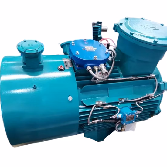 IEC Standard 3 Phase AC High Efficiency Electric Motor 50Hz/60Hz High/Low Voltage