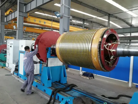 Series High-Voltage Three Phase Asynchronous Electric Motor
