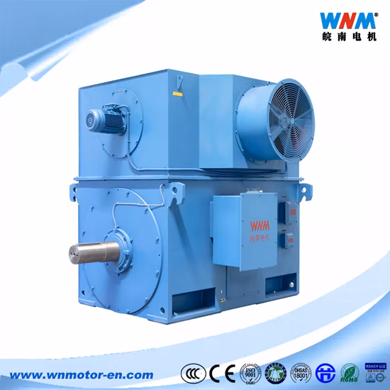 Yr Yrkk Yrks Series High Voltage Wound Rotor Motor