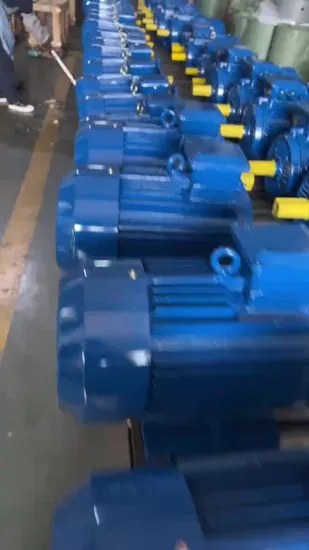 Ys Series 3 Phase Motor