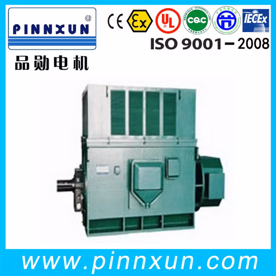 Yr Series (6kv 10kv) Slip Ring Electric Motor