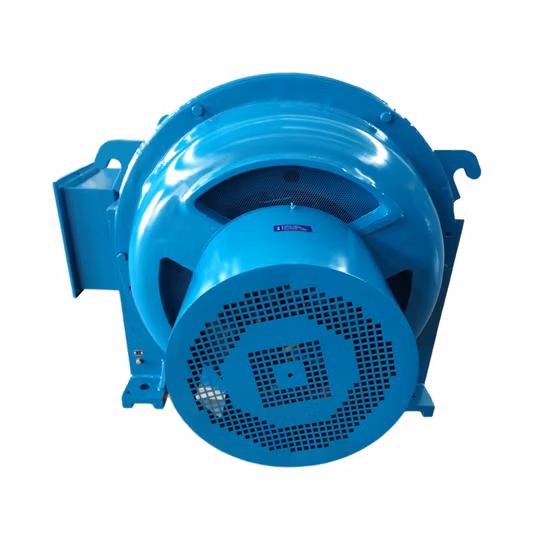 10000V Jr Series Jr158-8-400kw Motor