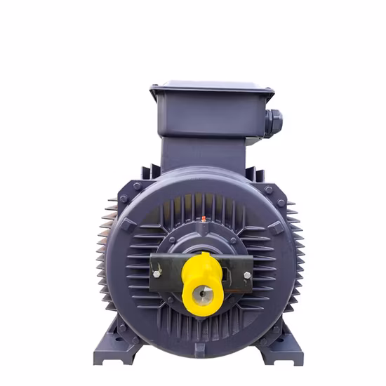 High Quality Three Phase Electric Motor Yvf Series Variable Frequency AC Motor with ISO Certification