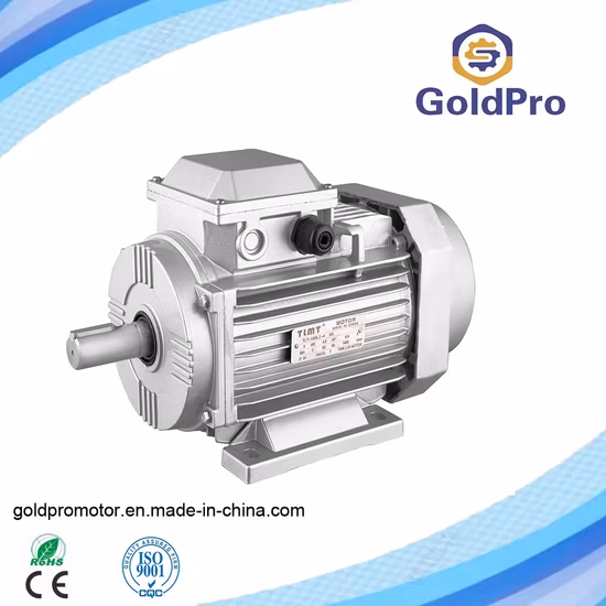 Wholesale Price Ms Series Aluminum Housing Horizontal Three Phase Electric Motor