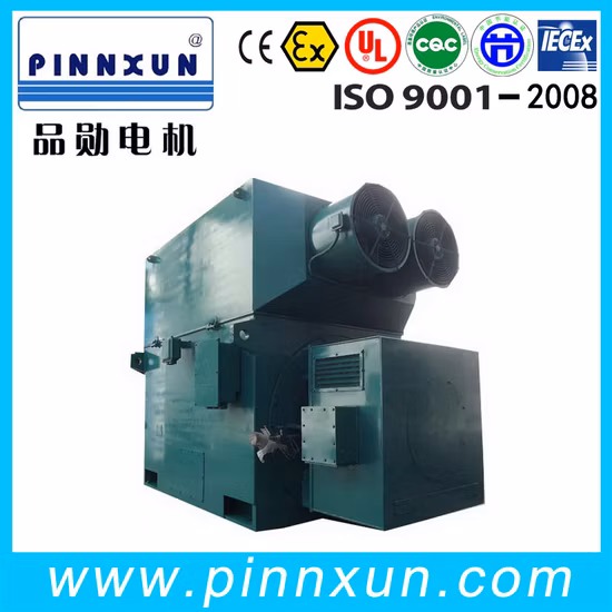 High Voltage Medium Voltage Large Size 7100kw Electric Motor