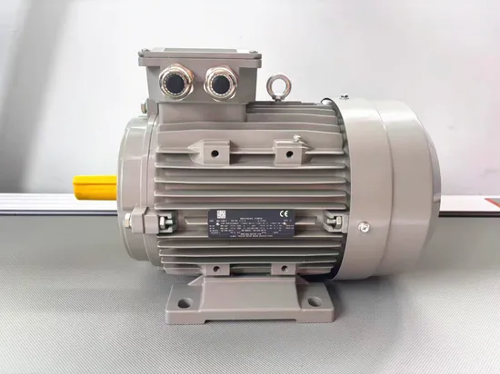 Ms Series Three-Phase Asynchronous Motor with IEC Standard