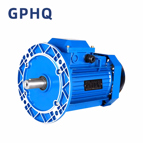 Gphq Ms Series Electric Motor Three-Phase Asynchronous Motor Motor
