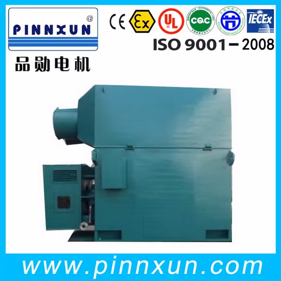 Yrkk Slip Ring Motor for Cement Mill 750kw Electric Motor