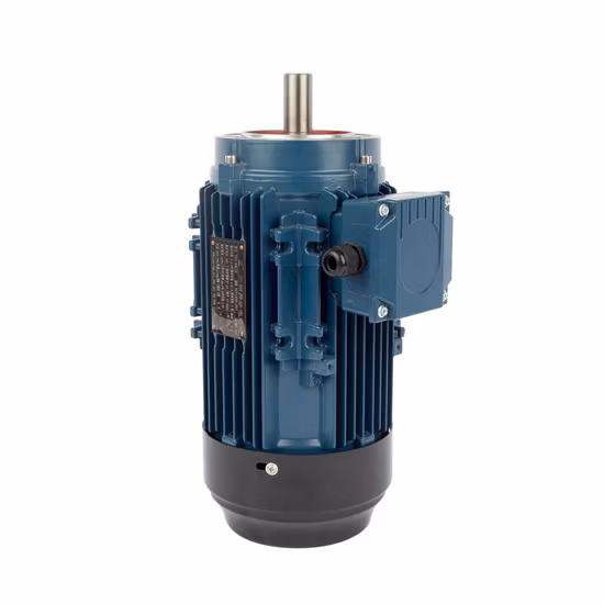 Ys/Ms Series Factory Direct Sales Ie3 3 Phase Asynchronous Induction AC Electric Motor