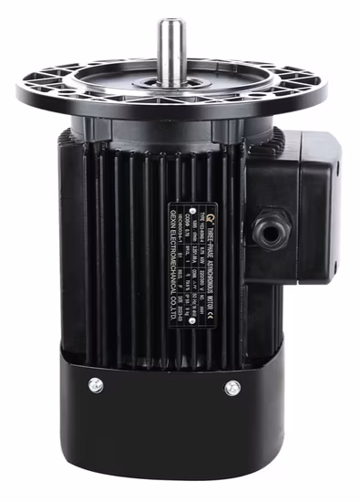 380V Ie2 Ms Series 180W Aluminum Housing Three-Phase Asynchronous Induction Electrical Motor