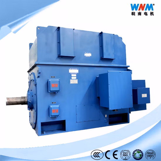 Yr Yrkk Yrks Series Medium High Voltage Wound Rotor Slip Ring Motor
