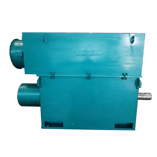 6000V High Voltage Wound Rotor Slip Ring Yrkk Series Motor