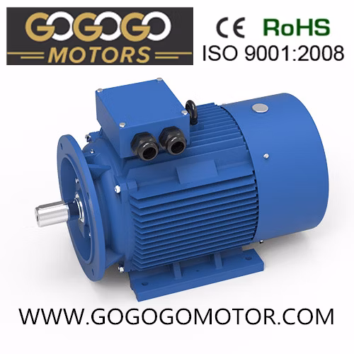 Y2 250kw-340HP Series Three Phase Induction Motors (YE2355L3-8)