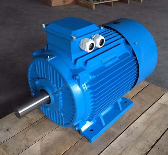 Y2 Series (MS) Three Phase Asynchronous Electric Motor (11kw)